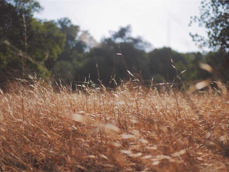 Accra Residential Development